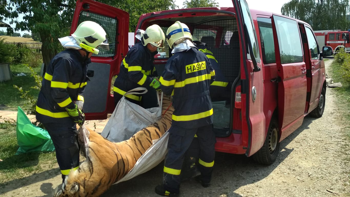 Die Feuerwehr transportiert das bei der Razzia sichergestellte tote Tier ab: nicht alle Tiere überleben die Gefangenschaft.