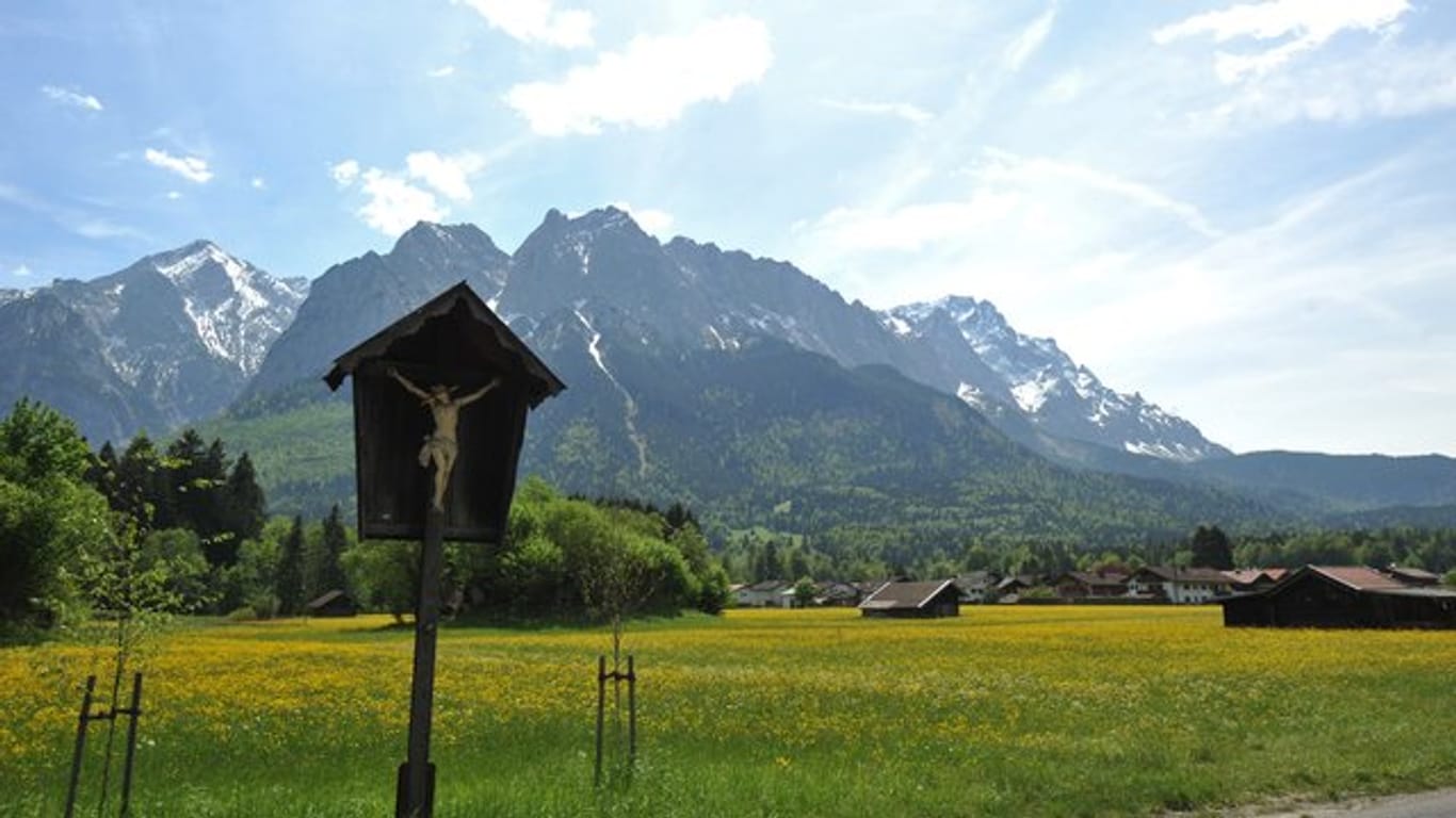Hinter einer Wiese in Garmisch-Partenkirchen ragt das Wettersteingebirge in die Höhe.