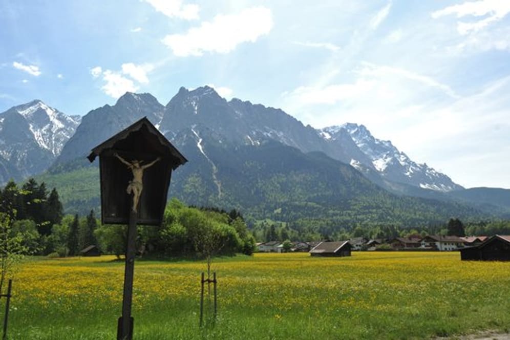 Hinter einer Wiese in Garmisch-Partenkirchen ragt das Wettersteingebirge in die Höhe.