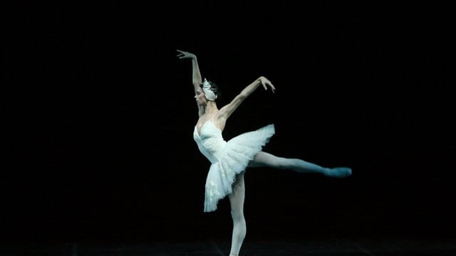 Die russische Primaballerina Polina Semionova verzaubert in "Schwanensee". Die russische Primaballerina Polina Semionova verzaubert in "Schwanensee".