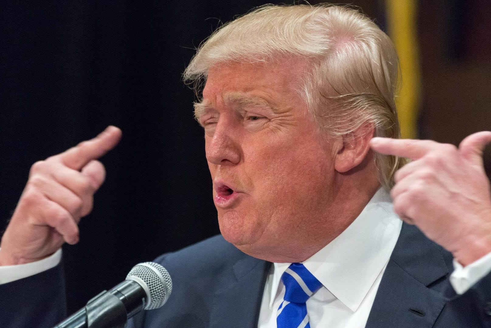 Donald Trump bei einer Rede vor Anhängern in der South Carolina African American Chamber of Commerce (Archivbild): Durch einen Tweet über geplante Reformen in der südafrikanischen Landwirtschaft hat der amerikanische Präsident eine erneute diplomatische Krise ausgelöst.