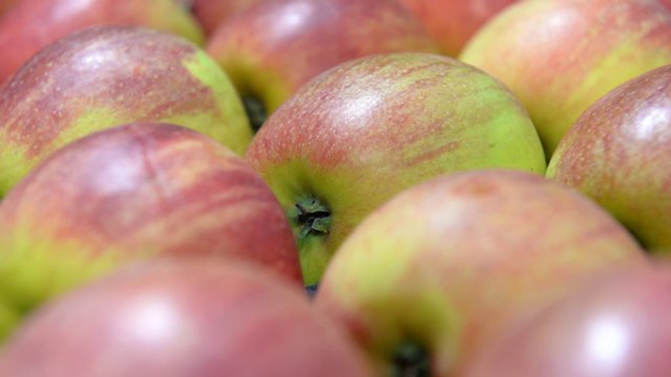 Süß oder sauer? Je nach Aroma und Festigkeit passen Äpfel zu unterschiedlichen Gerichten.