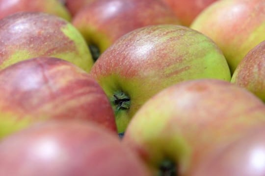 Süß oder sauer? Je nach Aroma und Festigkeit passen Äpfel zu unterschiedlichen Gerichten.