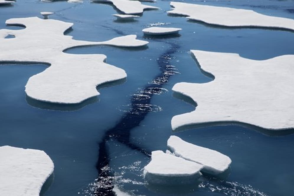 Wissenschaftler sind sich einig, dass die Arktis in den nächsten 30 bis 50 Jahren eisfrei sein wird.