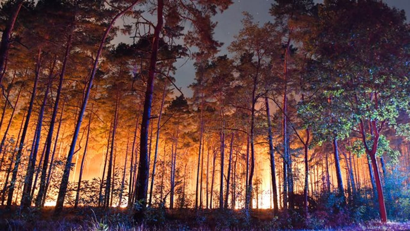 Ein brennender Wald nahe Klausdorf im Südwesten Brandenburgs.