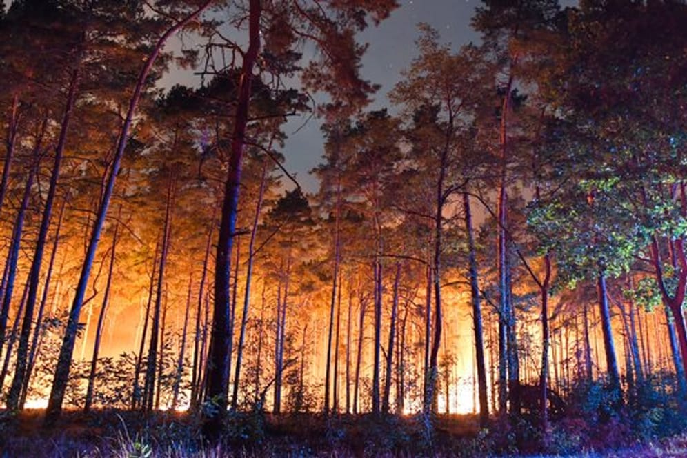 Ein brennender Wald nahe Klausdorf im Südwesten Brandenburgs.