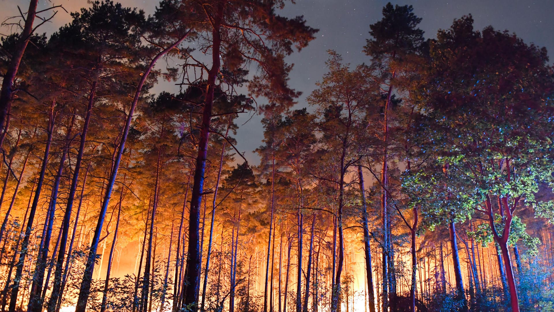 Waldbrand: Bei starkem Wind kann sich das Feuer schnell ausbreiten.