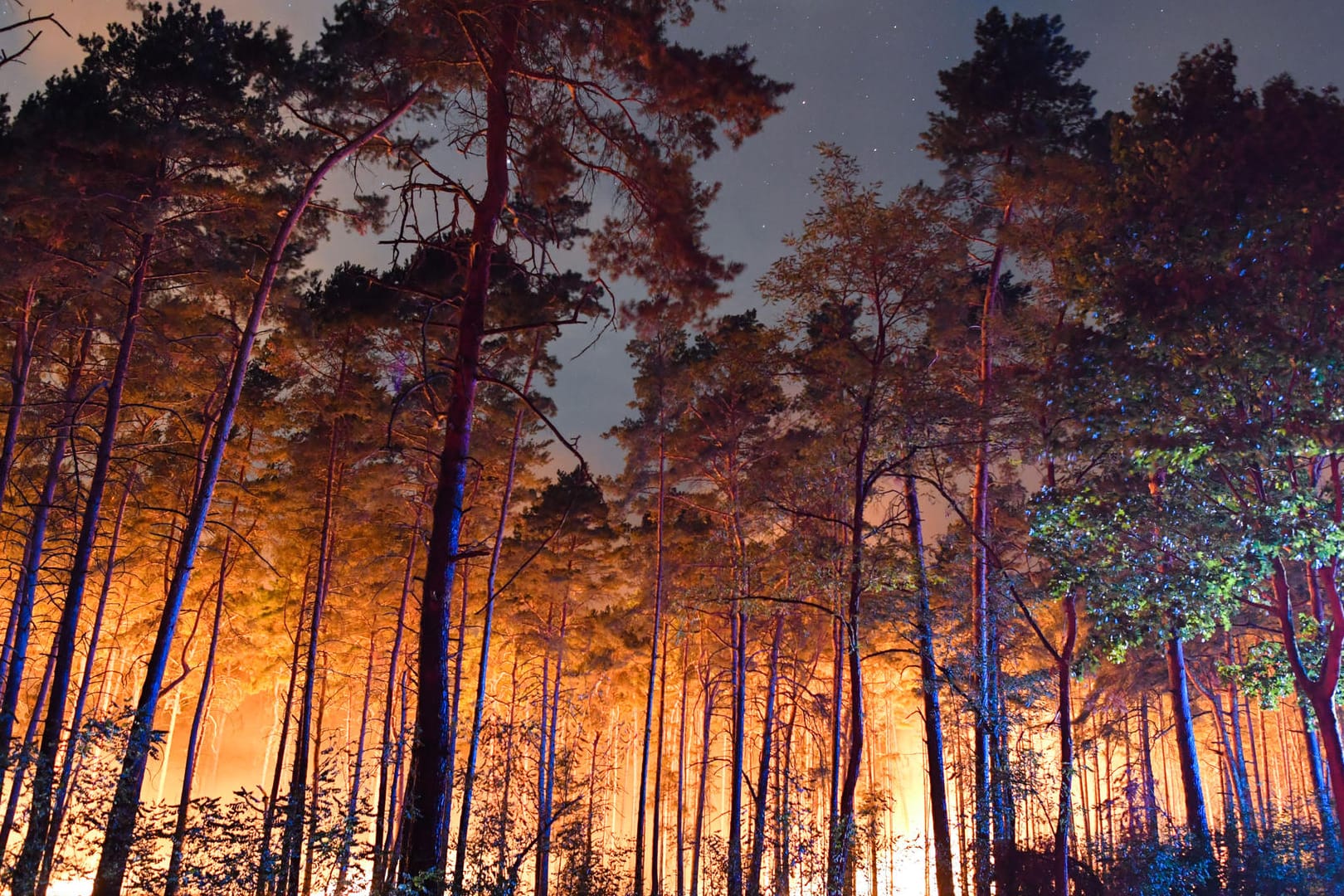 Waldbrand: Bei starkem Wind kann sich das Feuer schnell ausbreiten.