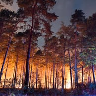 Was Bedeuten Die Waldbrandgefahrenstufen?