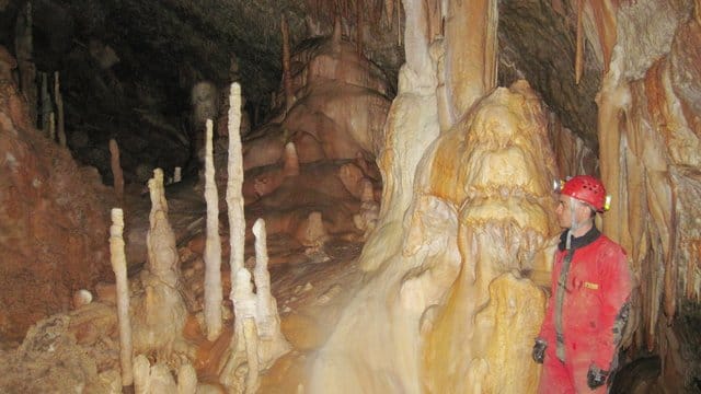 Wissenschaftler untersuchten Kalkstalagmiten aus zwei rumänischen Höhlen und schlossen aus den Daten, dass es vor etwa 44. Wissenschaftler untersuchten Kalkstalagmiten aus zwei rumänischen Höhlen und schlossen aus den Daten, dass es vor etwa 44.