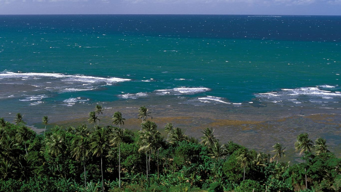 Die Ostküste von Neukaledonien: Das Beben ereignete sich etwa 231 Kilometer vor der Stadt Tadine.