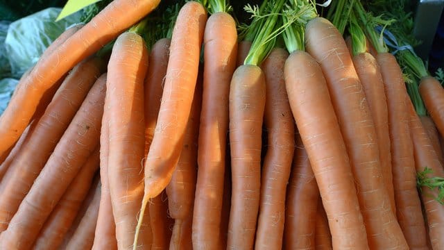 Lässt man die Blüten an der Möhrenpflanze, dann wird das Gemüse zäh und es ist nicht mehr zum Essen geeignet.