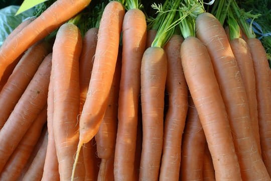 Lässt man die Blüten an der Möhrenpflanze, dann wird das Gemüse zäh und es ist nicht mehr zum Essen geeignet.