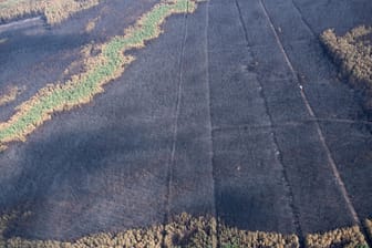 Luftansicht: Große Teile des Kiefernwalds in Treuenbrietzen sind abgebrannt