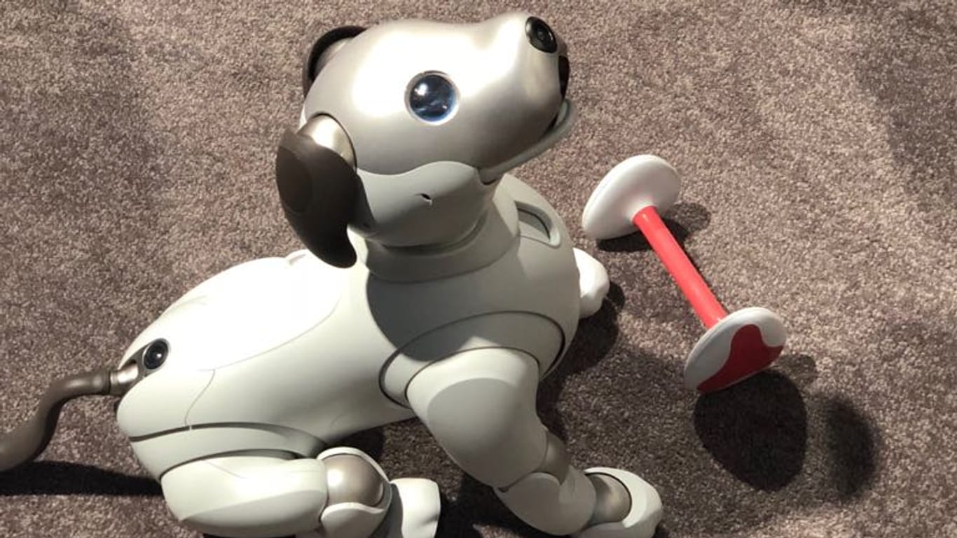 Der Roboterhund AIBO von Sony auf der IFA 2018.