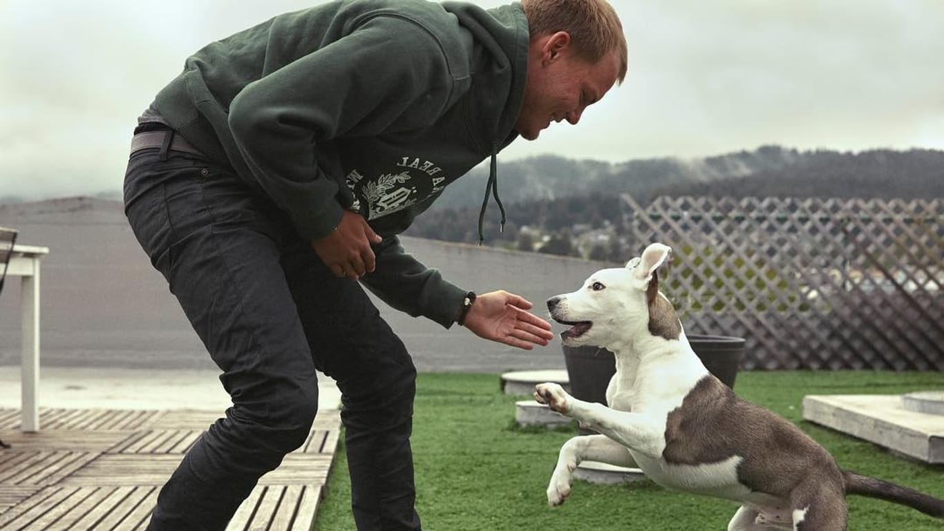 DJ Avicii und Hund Liam: Sie waren unzertrennlich.