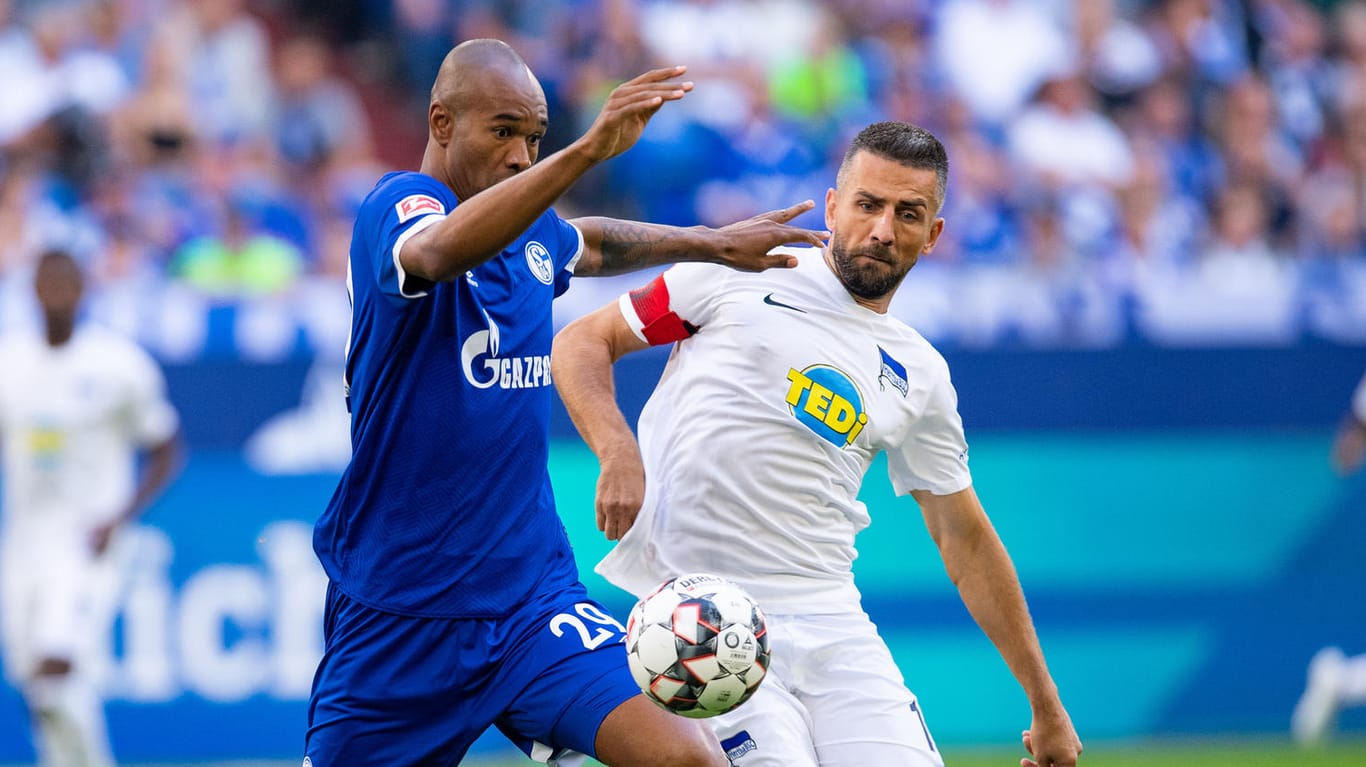 Schalkes Naldo (l.) und Ibisevic kämpfen um den Ball.