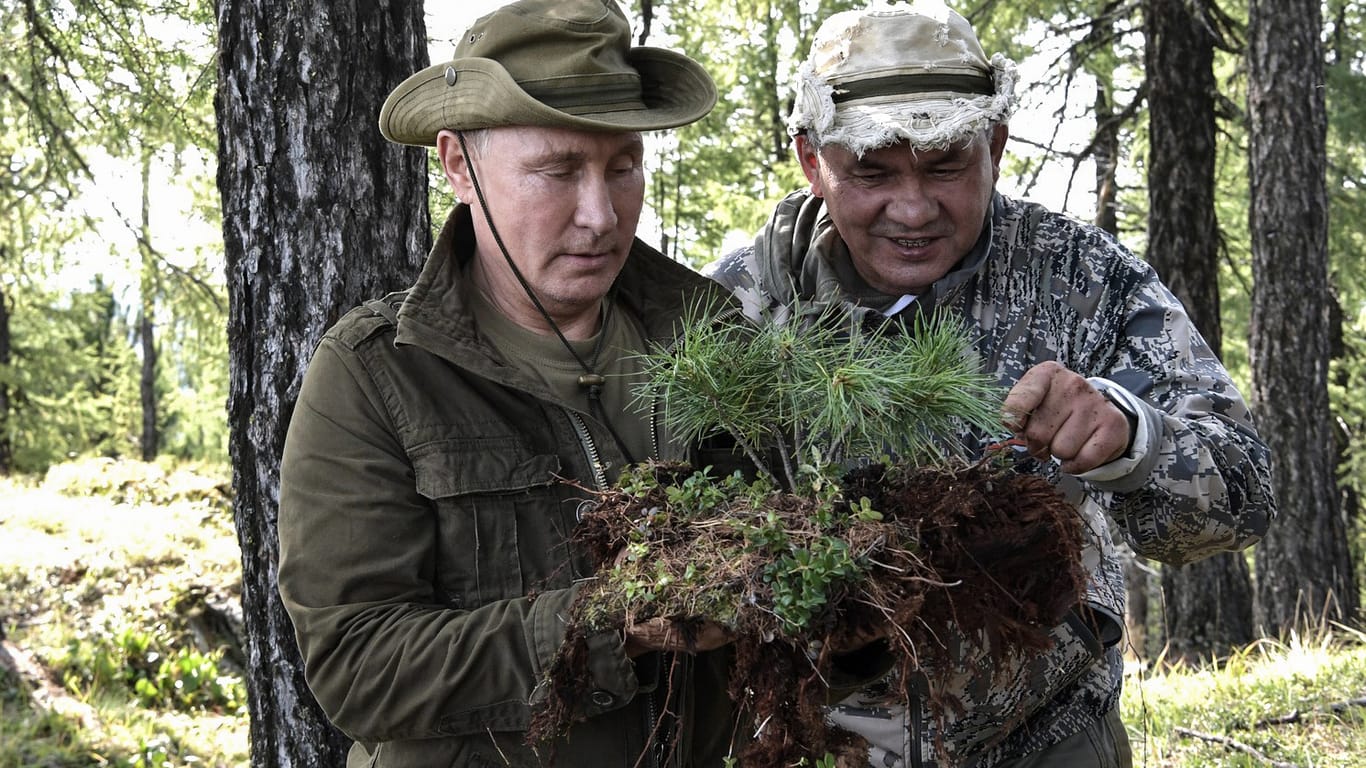 Wladimir Putin neben Verteidigungsminister Sergei Schoigu(Archivbild): Dieses vom Kreml zur Verfügung gestellte Bild zeigt den russischen Präsidenten in einer inzwischen fast gewohnten Pose – in der Wildnis, auf scheinbarer Entdeckungsreise.