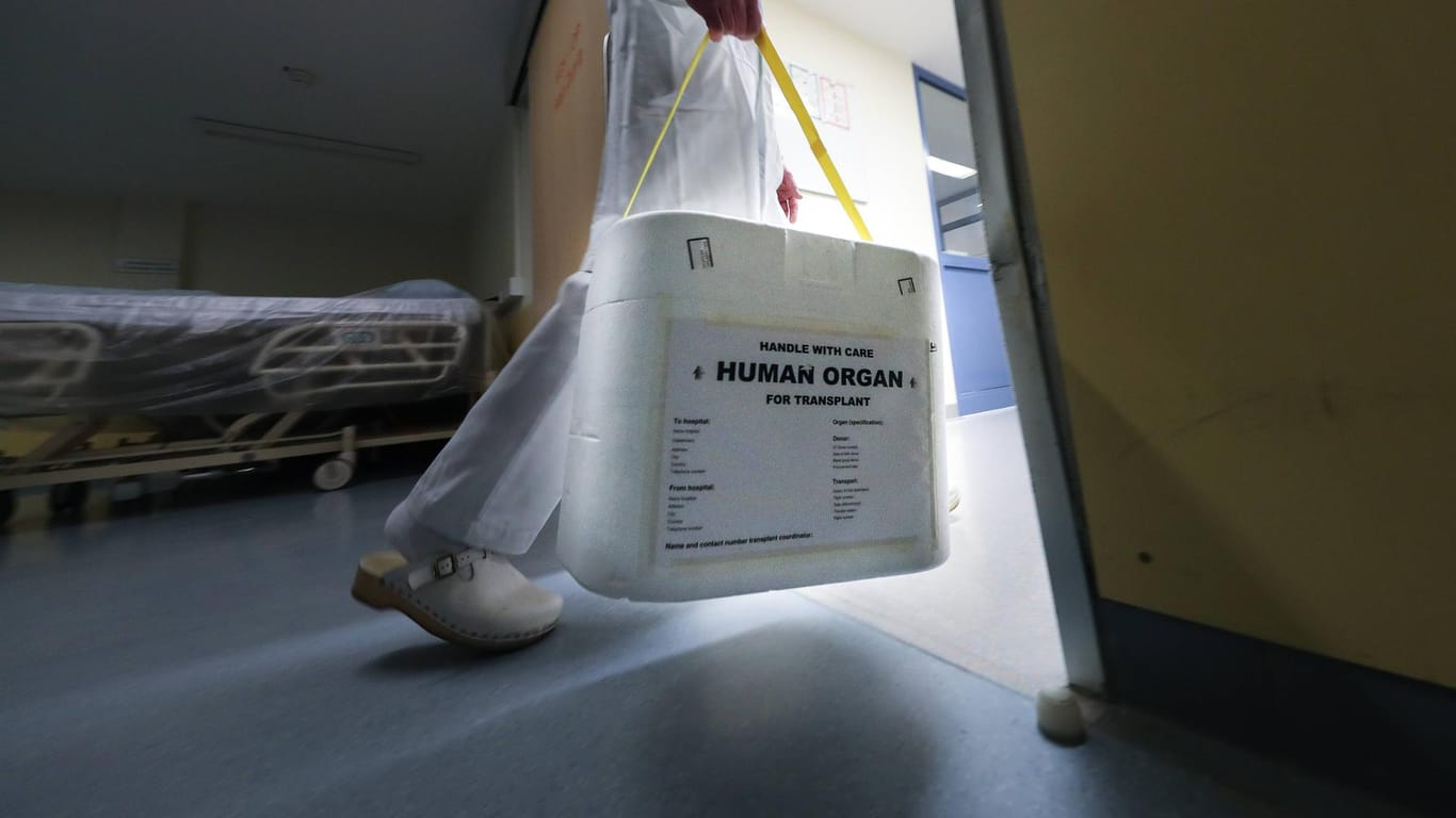 Eine Transport-Box für Organspenden: Gesundheitsminister Jens Spahn will mit einem neuen Ansatz für mehr Organspenden sorgen – sein Vorschlag ist jedoch umstritten.
