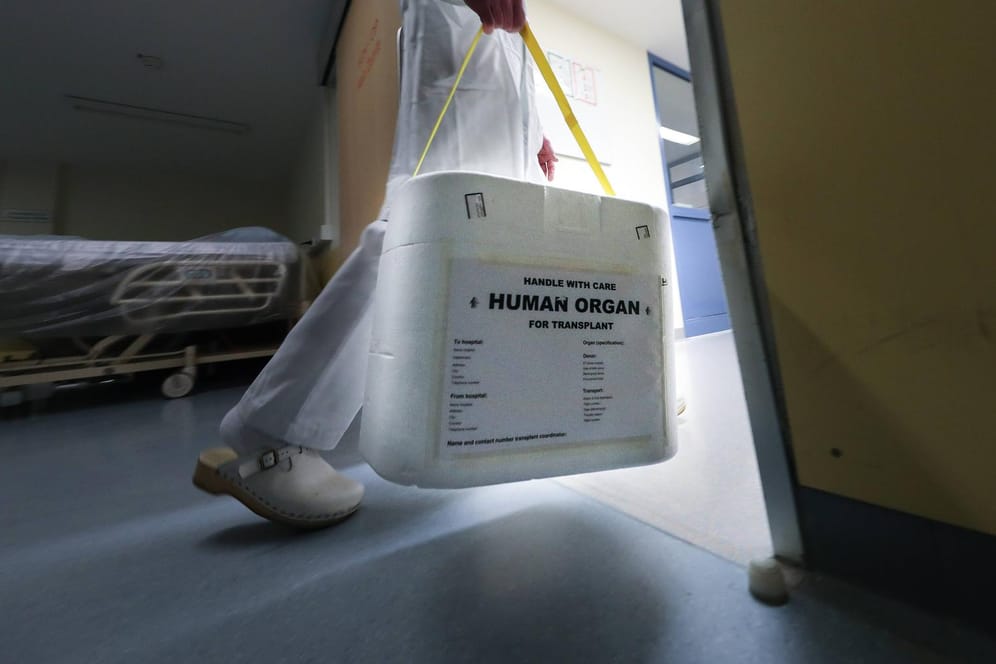 Eine Transport-Box für Organspenden: Gesundheitsminister Jens Spahn will mit einem neuen Ansatz für mehr Organspenden sorgen – sein Vorschlag ist jedoch umstritten.