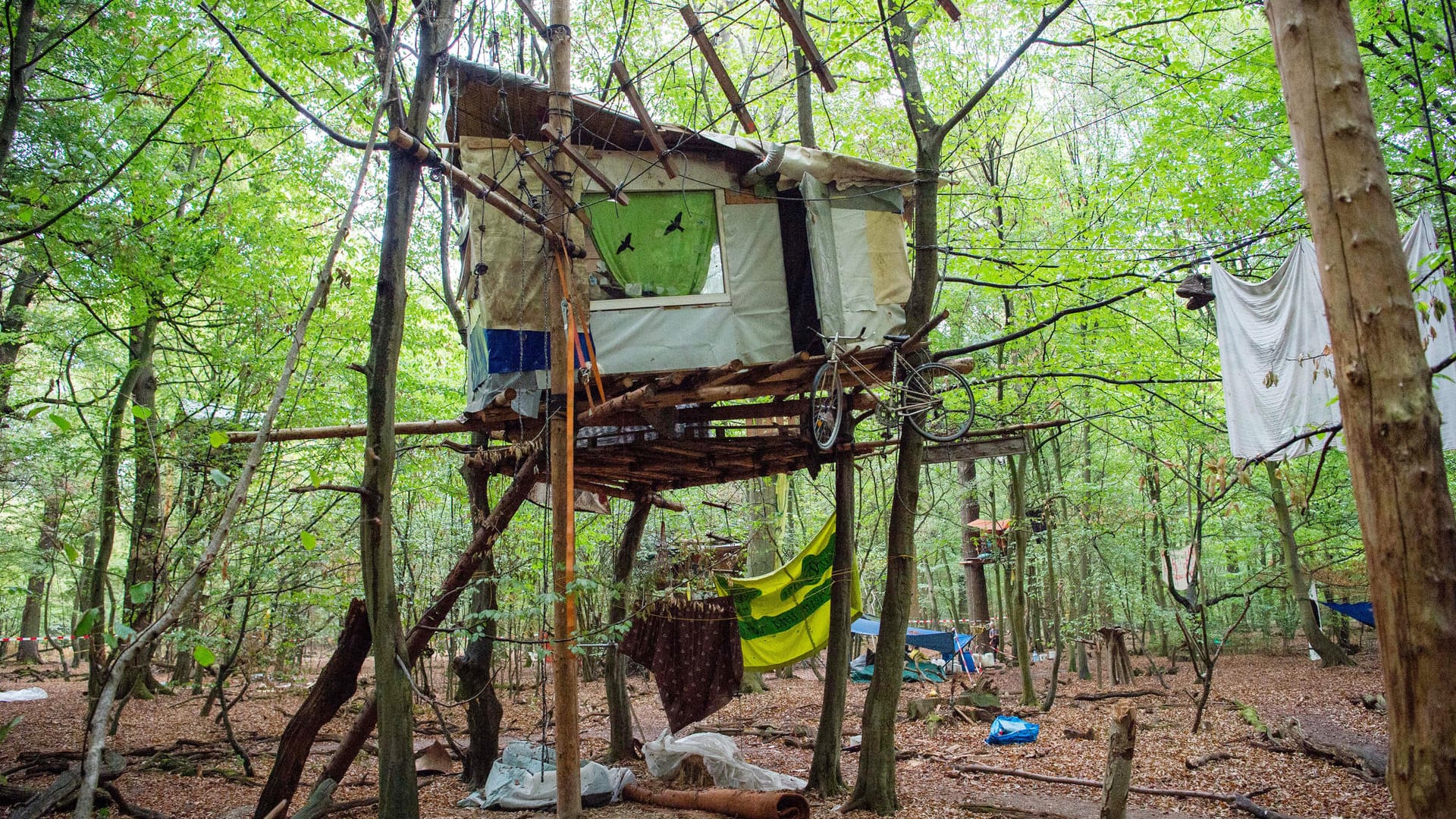 Aktivisten im Hambacher Forst: Teilweise leben die Umweltschützer seit Jahren in den Baumhäusern. Die Polizei will bei ihrem Einsatz nicht gegen die Protestler vorgehen.