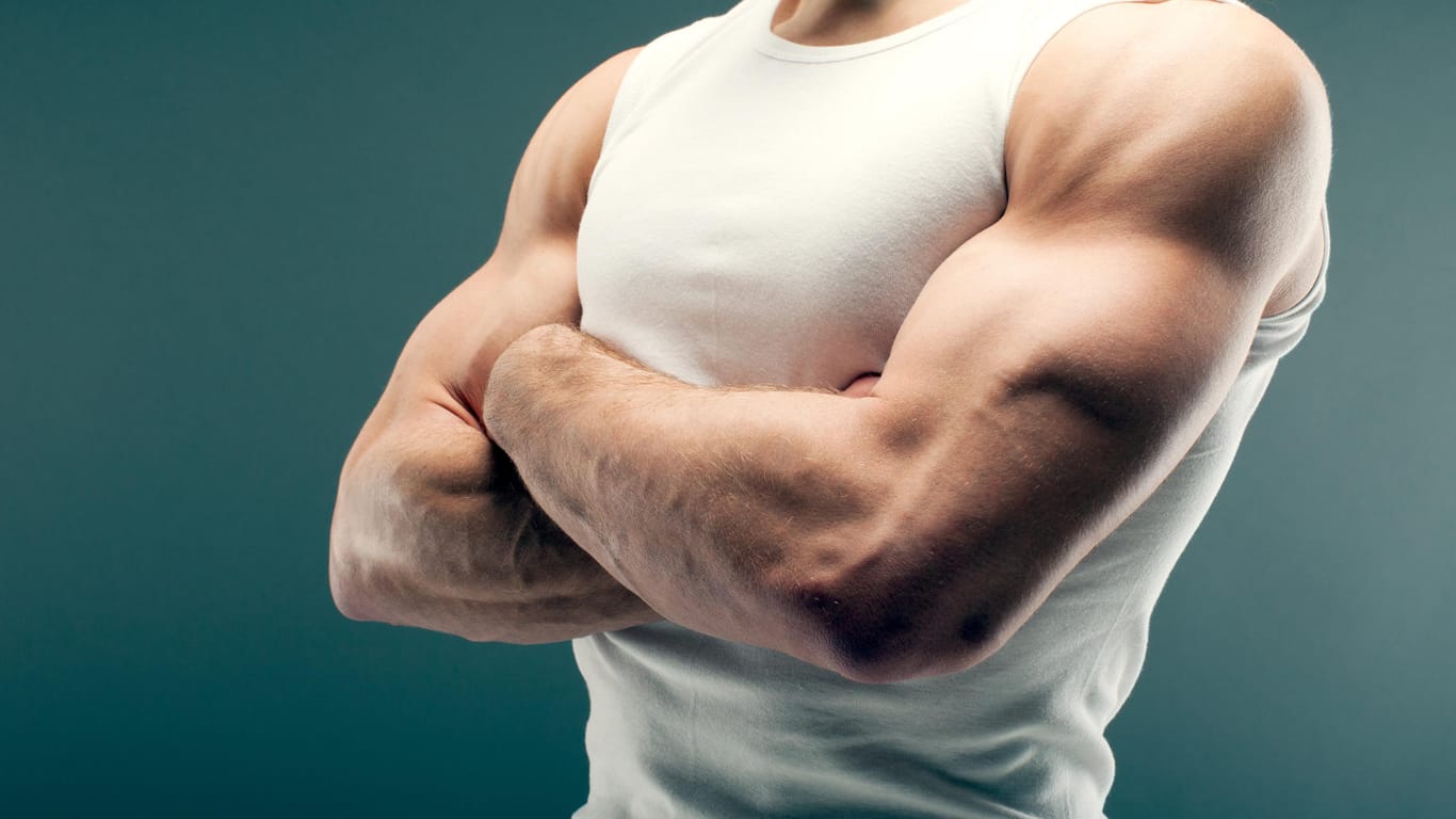Junger, muskulöser Mann: Das Powerhormon Testosteron verleiht ihm Kraft, Potenz und Libido.