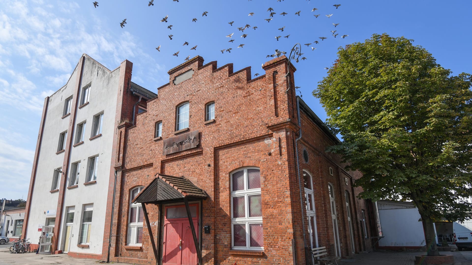 Der Club "le frosch": Hier kam es gewalttätigen Übergriffen durch eine Gruppe Syrer.