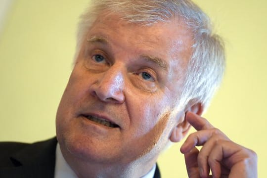 Bundesinnenminister Horst Seehofer (CSU) gibt ein Statement ab.