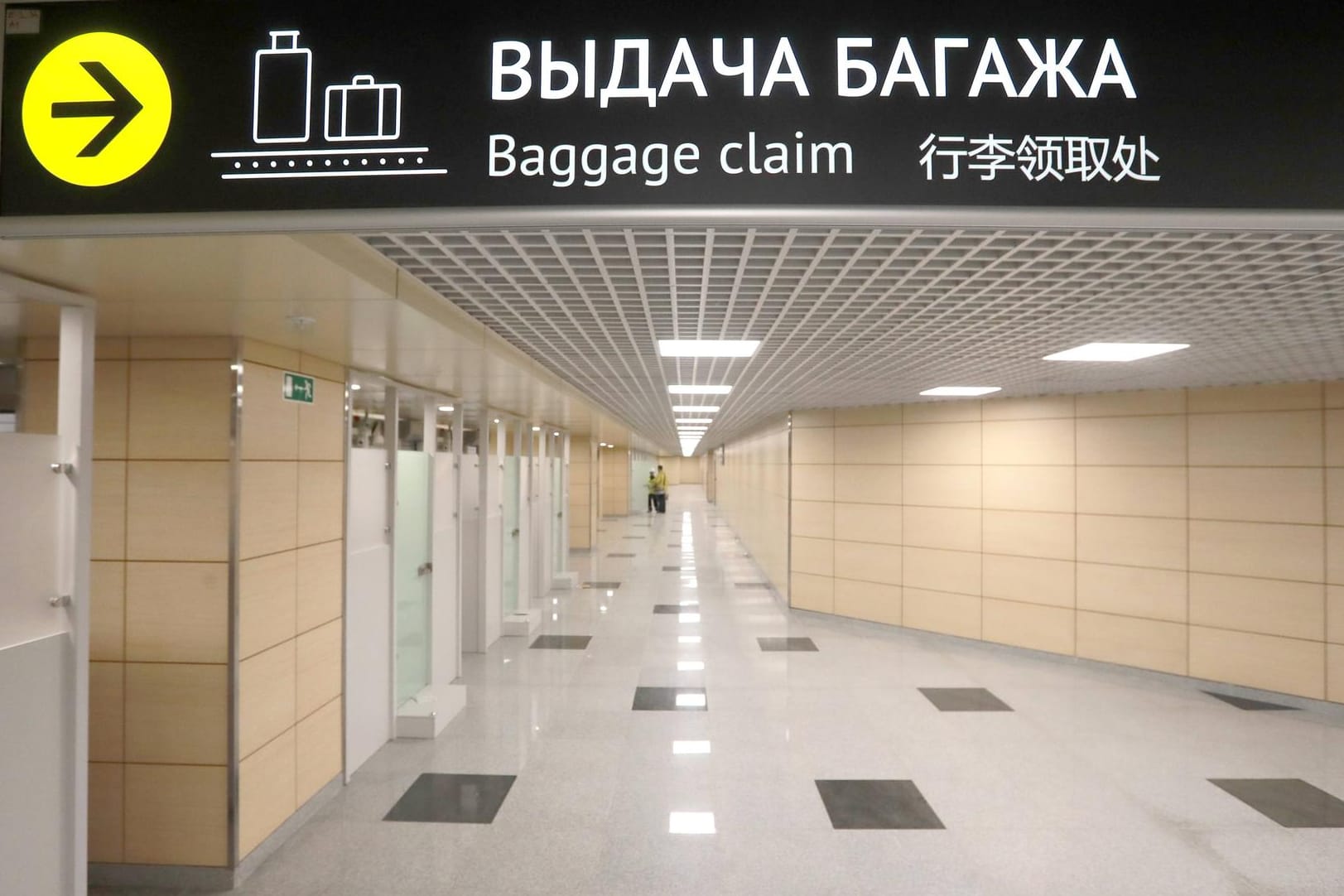 Moskauer Flughafen: Schlangen dürfen zwar nach Russland eingeführt werden, aber es bedarf spezieller Dokumente.