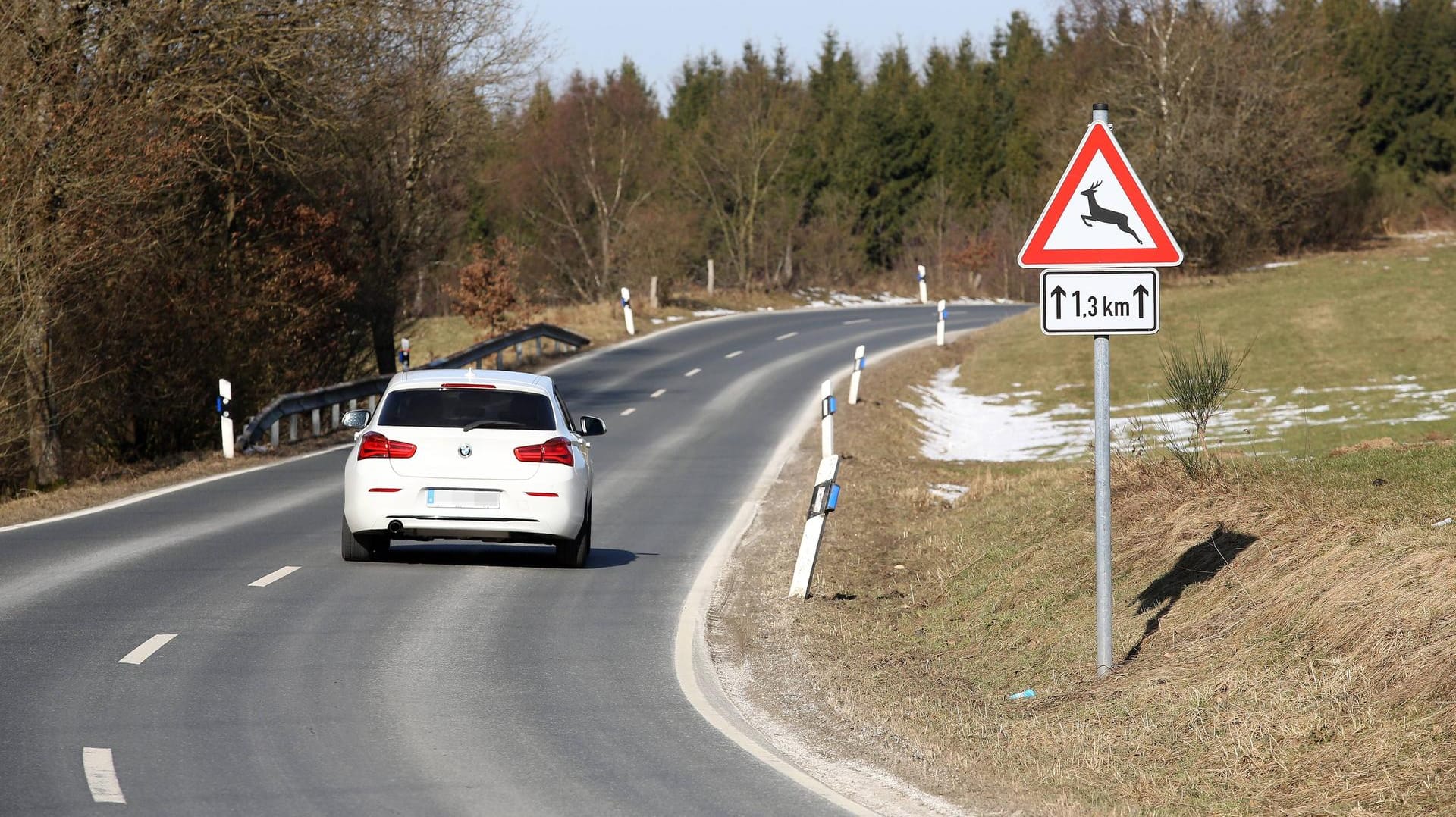 Verkehrsschild warnt vor Wildwechsel: Ein Unfall mit einem Tier kann gefährlich werden.