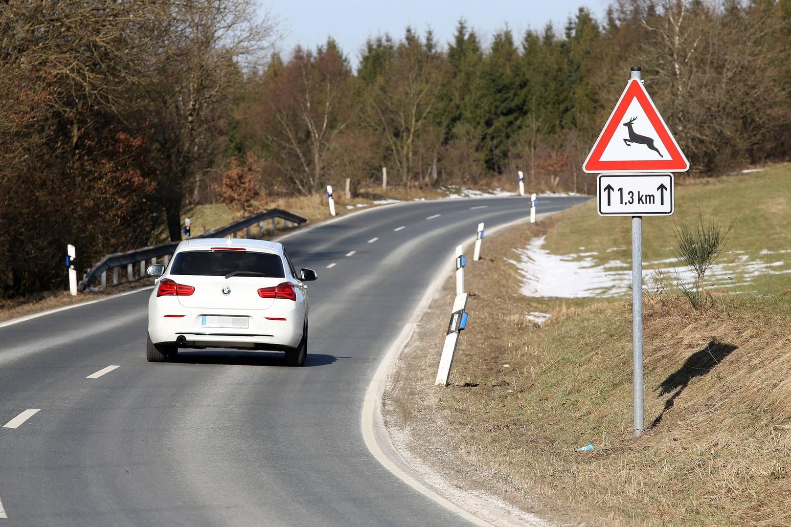 Verkehrsschild warnt vor Wildwechsel: Ein Unfall mit einem Tier kann gefährlich werden.