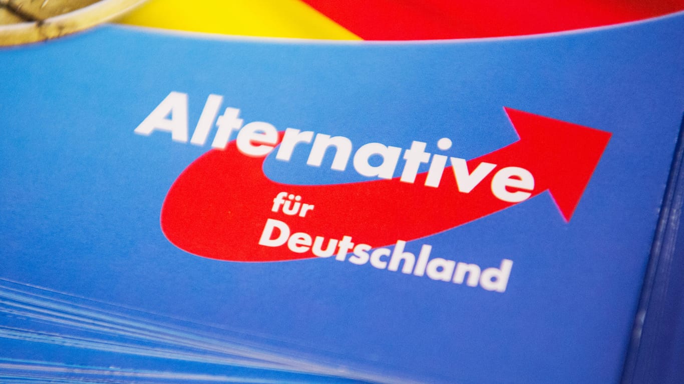 Ein Flyer der AfD: Bisher ist die AfD nicht in den Landesparlamenten in Bayern und Hessen vertreten.