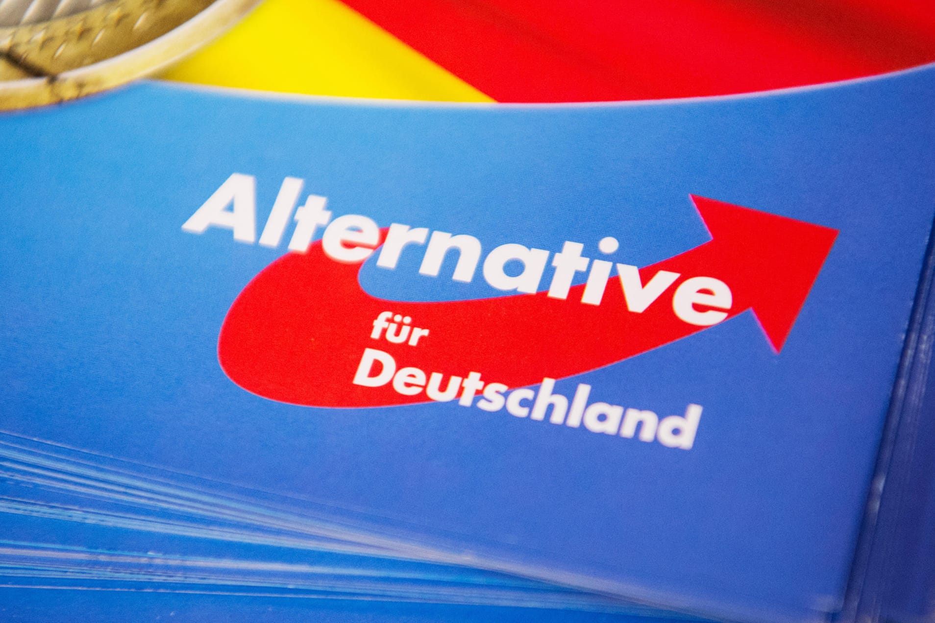 Ein Flyer der AfD: Bisher ist die AfD nicht in den Landesparlamenten in Bayern und Hessen vertreten.