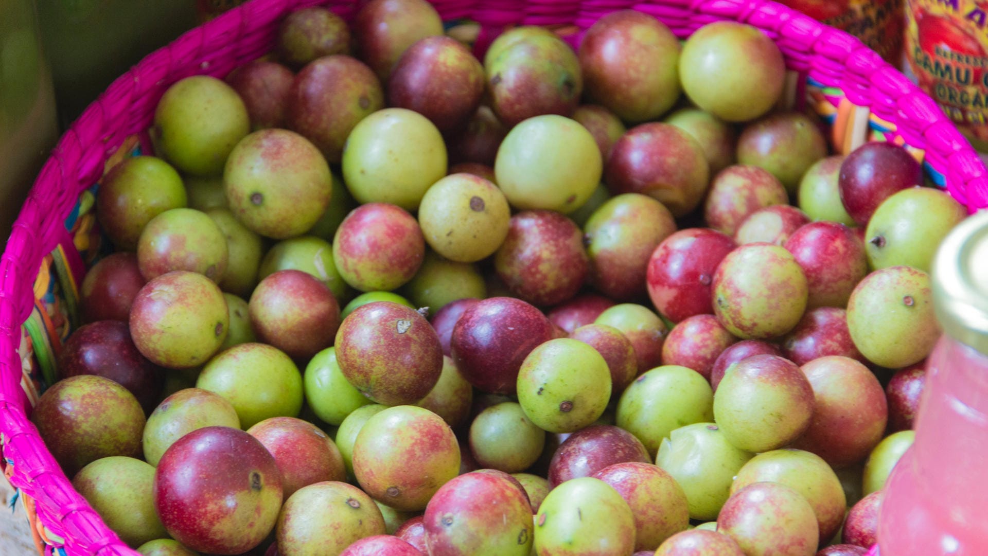 Camu-Camu: Die grünen Früchte haben mehr Vitamin C als die roten Früchte.