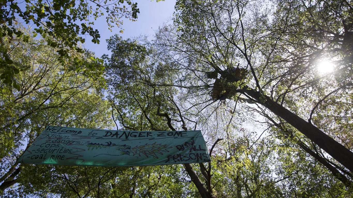 Hambacher Forst: Seit 2012 ist das Waldstück von Aktivisten besetzt, die zum Teil in den 30 bis 60 Baumhäusern leben.