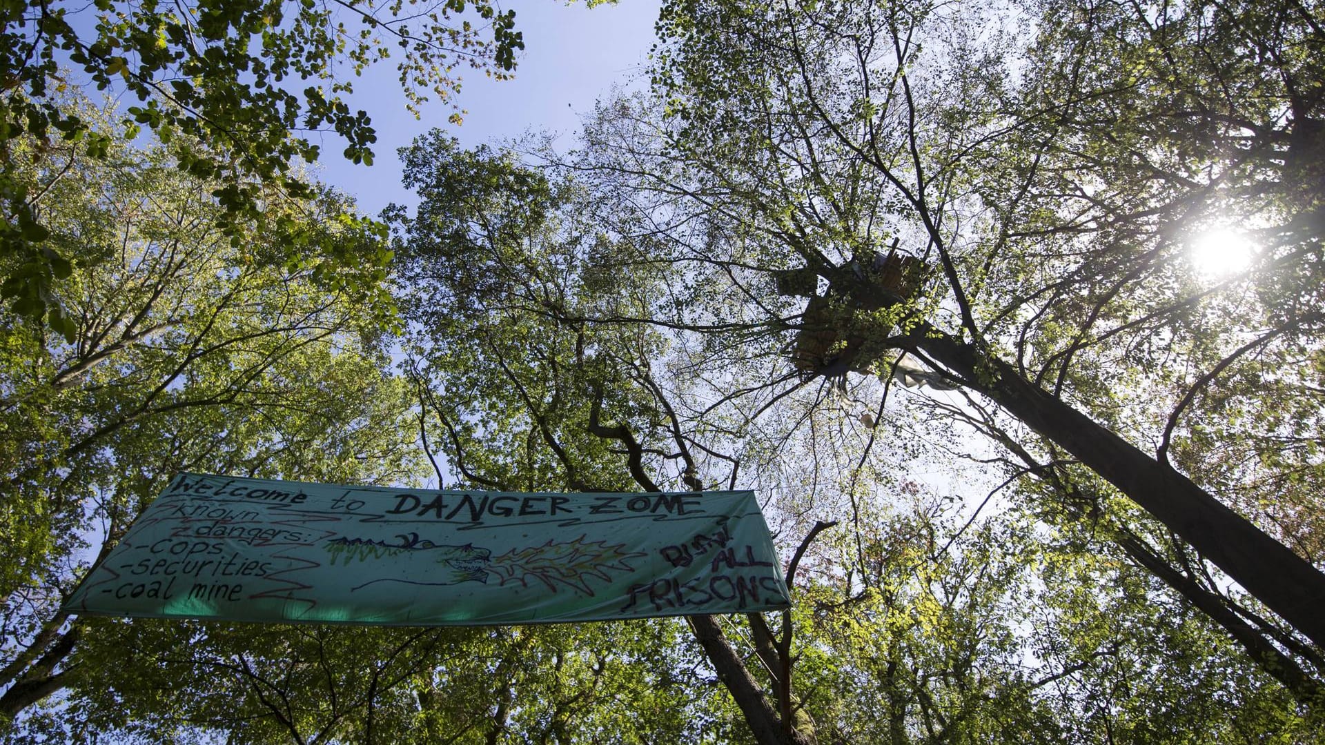 Hambacher Forst: Seit 2012 ist das Waldstück von Aktivisten besetzt, die zum Teil in den 30 bis 60 Baumhäusern leben.