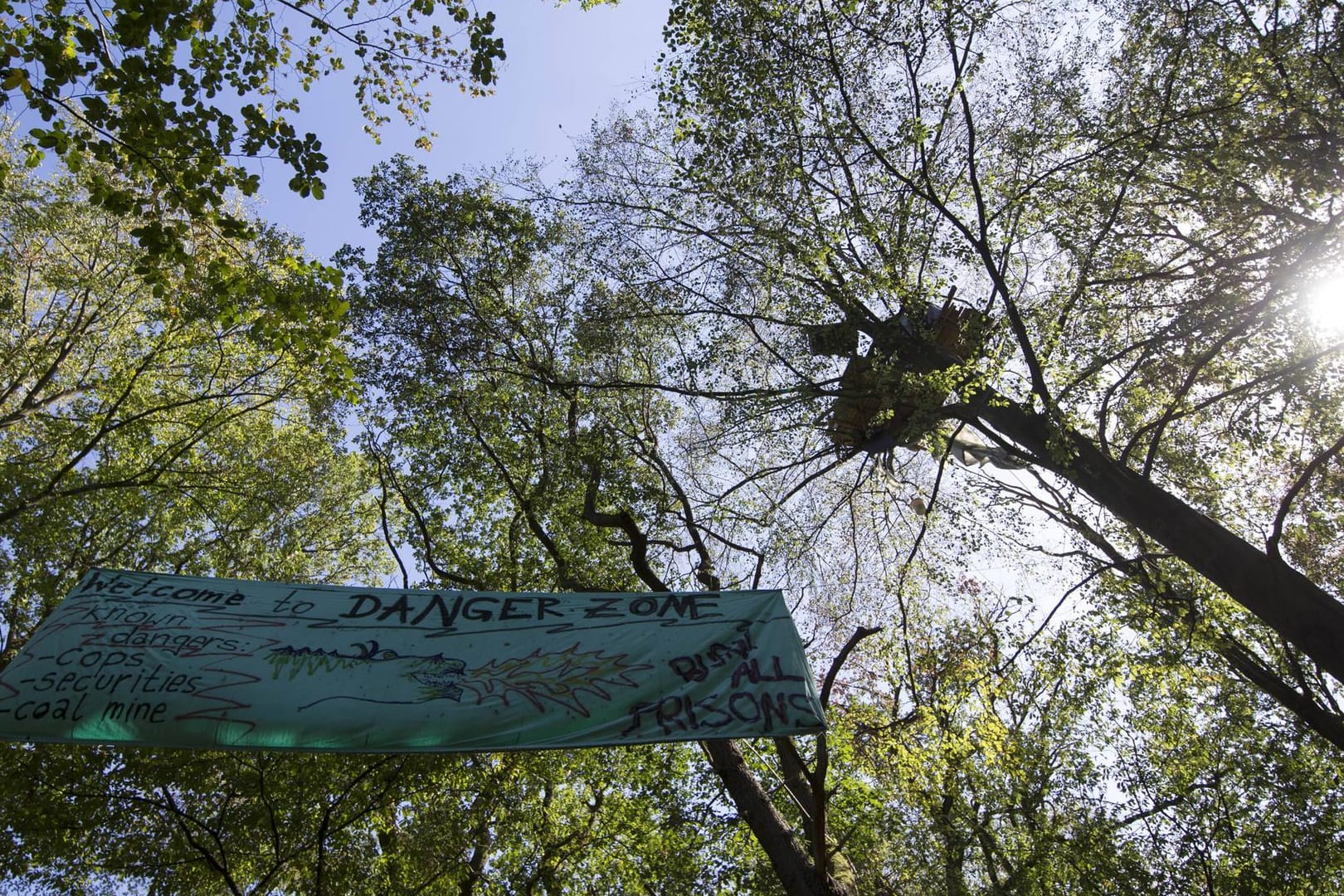 Hambacher Forst: Seit 2012 ist das Waldstück von Aktivisten besetzt, die zum Teil in den 30 bis 60 Baumhäusern leben.