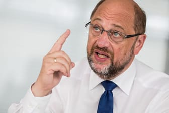 Martin Schulz: Der SPD-Politiker hat seine Replik auf die AfD verteidigt.