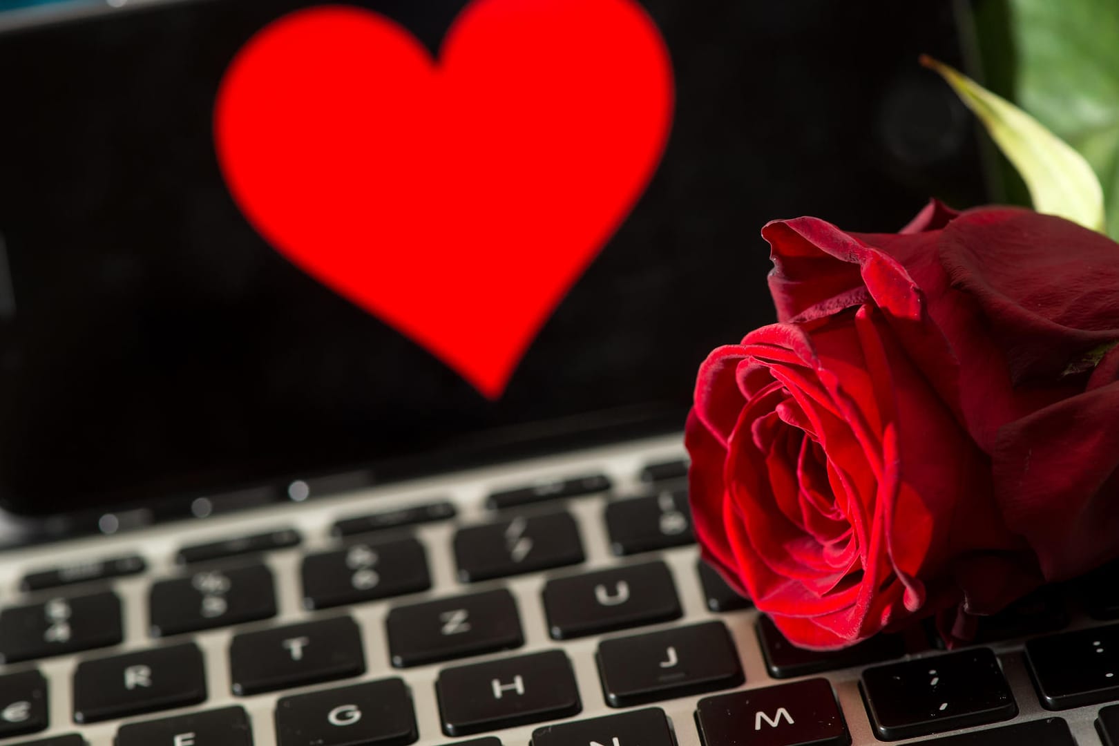 Eine Rose liegt auf einer Tastatur: In München beginnt am 13.09.2018 ein Prozess um Abzocke beim Online-Dating