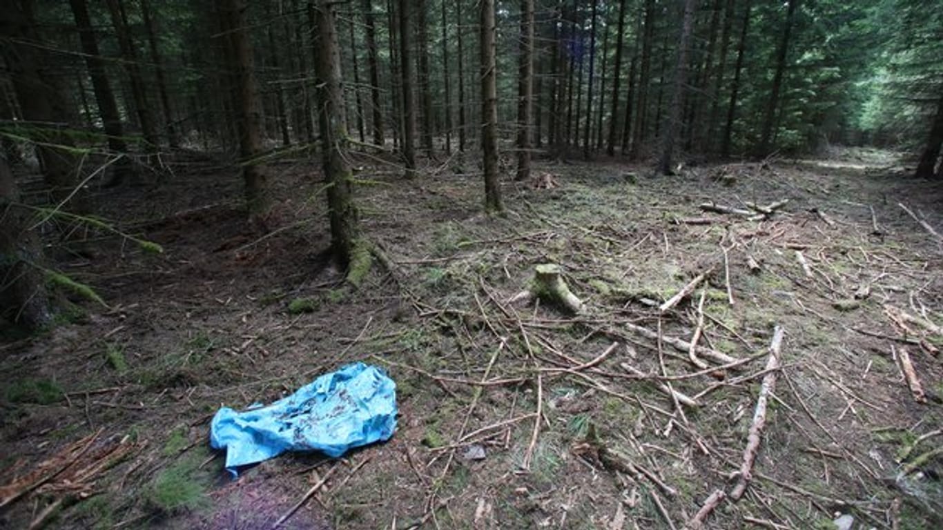 Ein blauer Kunststoff-Sack liegt in einem Waldstück im Saale-Orla-Kreis bei Rodacherbrunn.