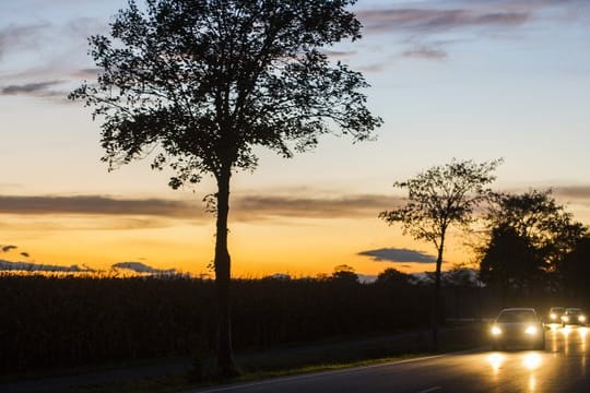 Wer betrunken auf die Fahrbahn gerät, kann als Unfallopfer nicht die Fahrer haftbar machen.