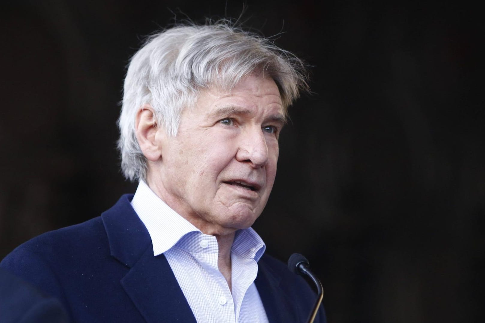 Höchst engagiert: Harrison Ford setzt sich für den Klimaschutz ein.
