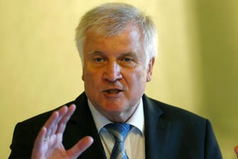 Horst Seehofer: Der Bundesinnenminister rechnet mit der AfD ab.