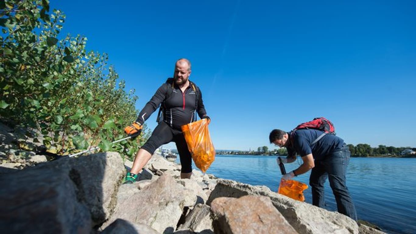 Ehrenamtliche sammeln bei der Umweltinitiative "Rhine Cleanup Day" am Rheinufer in Mainz Müll.