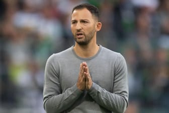 Domenico Tedesco: Der Schalke-Trainer erlebt mit den Königsblauen einen desaströsen Saisonstart.