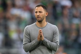 Domenico Tedesco: Der Schalke-Trainer erlebt mit den Königsblauen einen desaströsen Saisonstart.