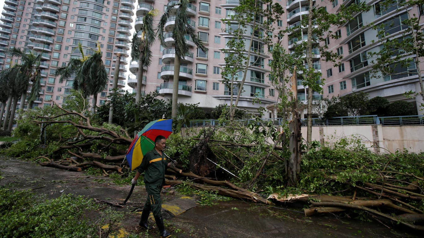 Taifun "Mangkhut" hat im chinesischen Shenzhen viele Bäume entwurzelt.