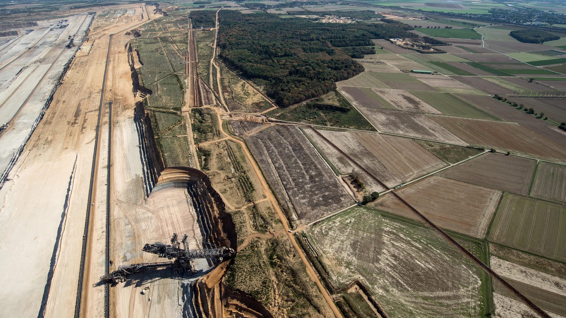Die Reste des Hambacher Forsts zwischen Köln und Aachen: Der Tagebau Hambach schiebt sich immer näher an den Hambacher Forst heran. RWE will für den Braunkohleabbau mehr als 100 der verbliebenen 200 Hektar Wald abholzen.