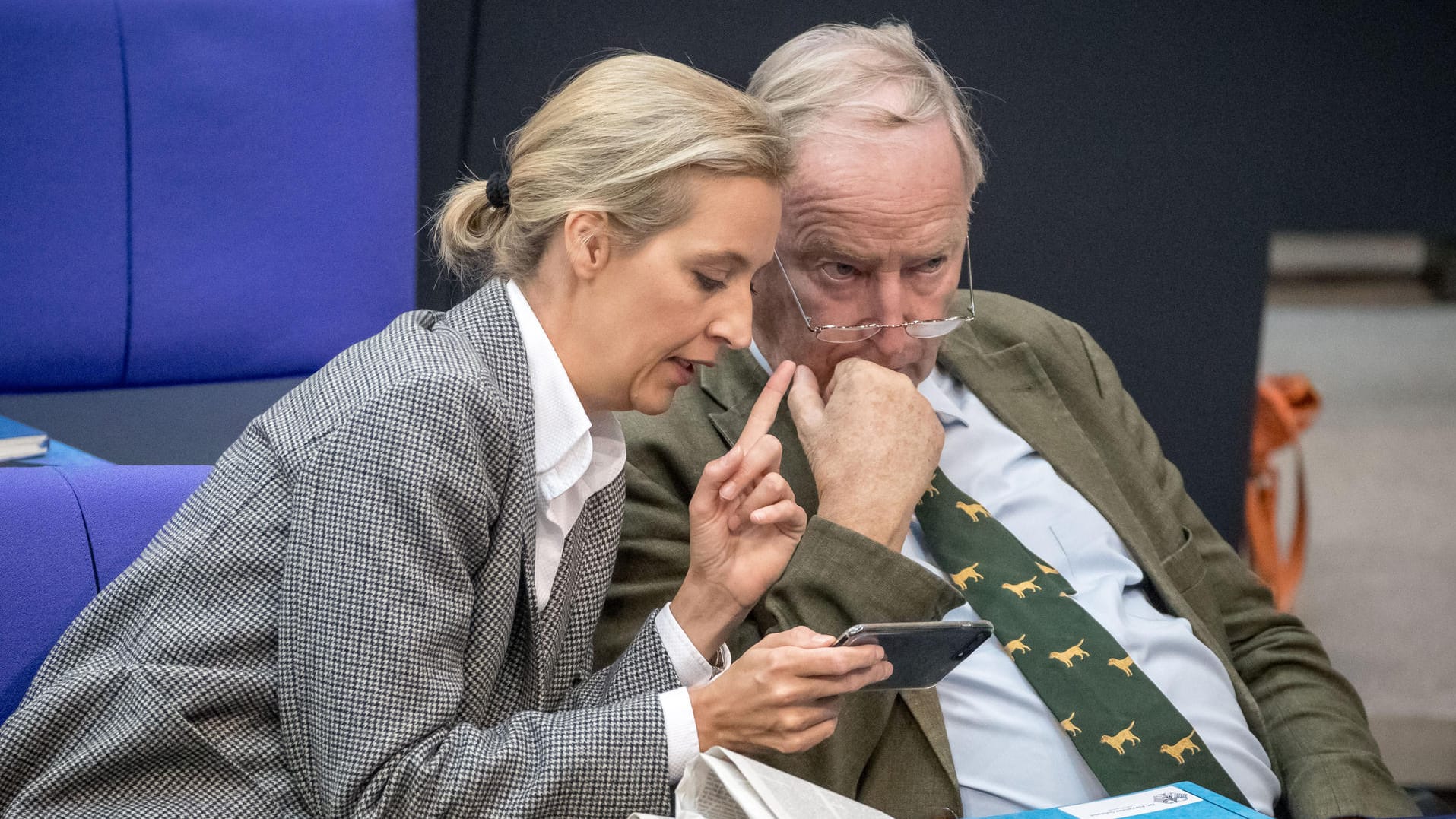 Die Fraktionsvorsitzenden der AfD im Bundestag, Alice Weidel und Alexander Gauland: Die große Mehrheit der Deutschen sieht die Partei als in weiten Teilen rechtsextrem an.