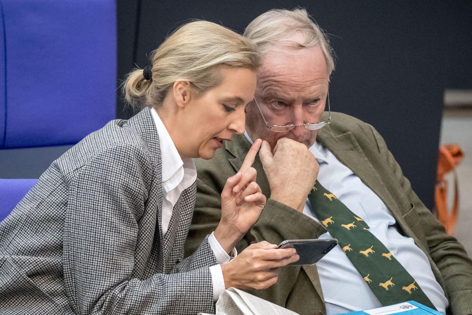 Die Fraktionsvorsitzenden der AfD im Bundestag, Alice Weidel und Alexander Gauland: Die große Mehrheit der Deutschen sieht die Partei als in weiten Teilen rechtsextrem an.